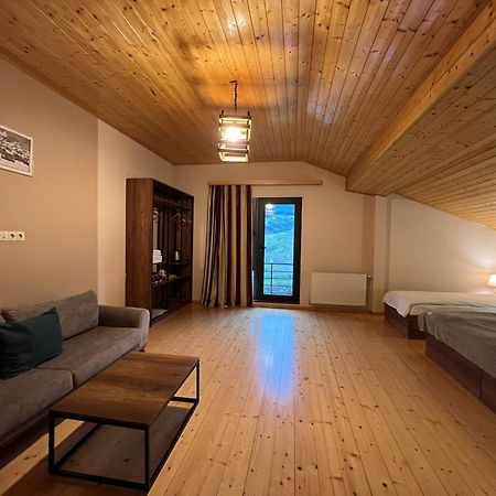 Hotel Axien Kazbegi Exteriér fotografie