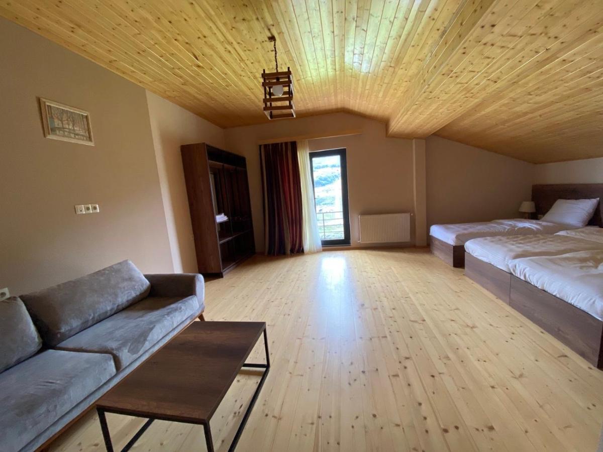 Hotel Axien Kazbegi Exteriér fotografie
