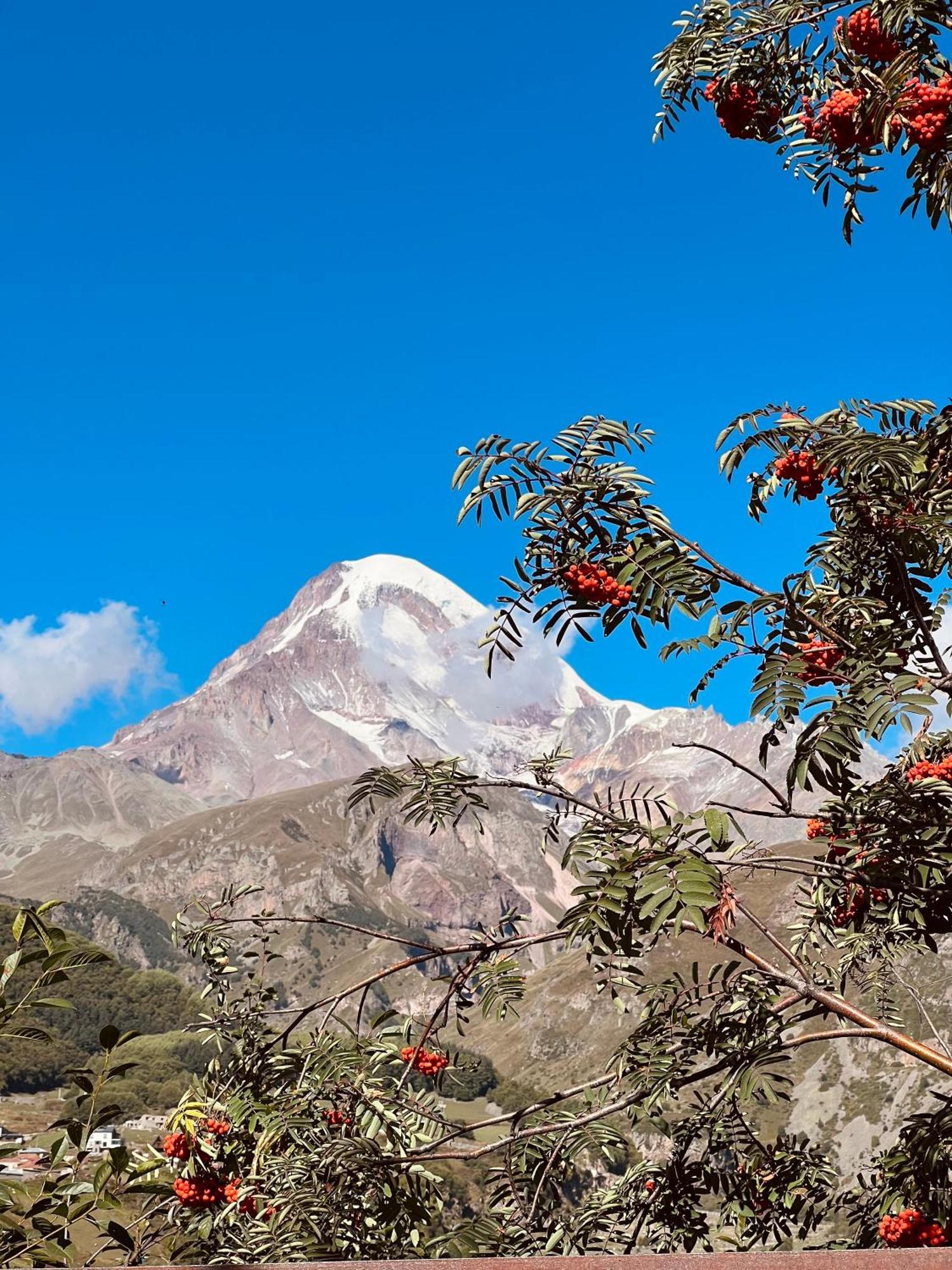 Hotel Axien Kazbegi Exteriér fotografie